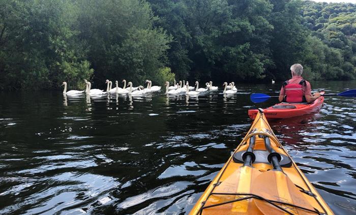 Kayaking on the River Wye is the ideal way to view this stunning region including its cliffs, forests and landscape, and its wildlife.